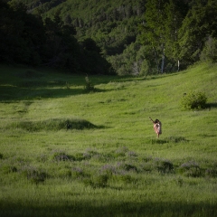 250630-0083-©photogreger-Processedweb