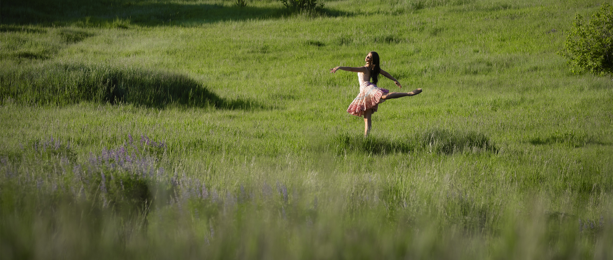 header image